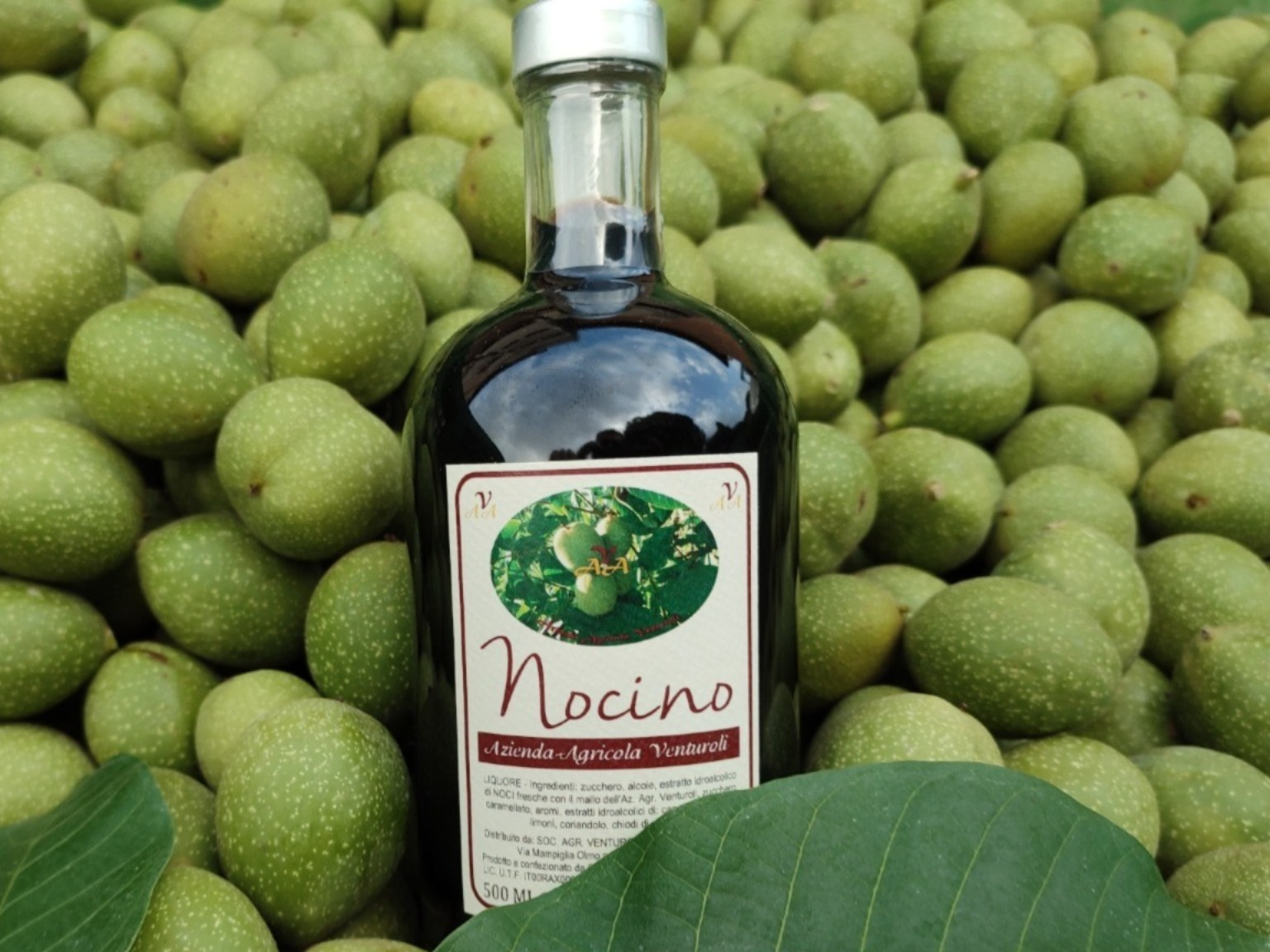 Nocino